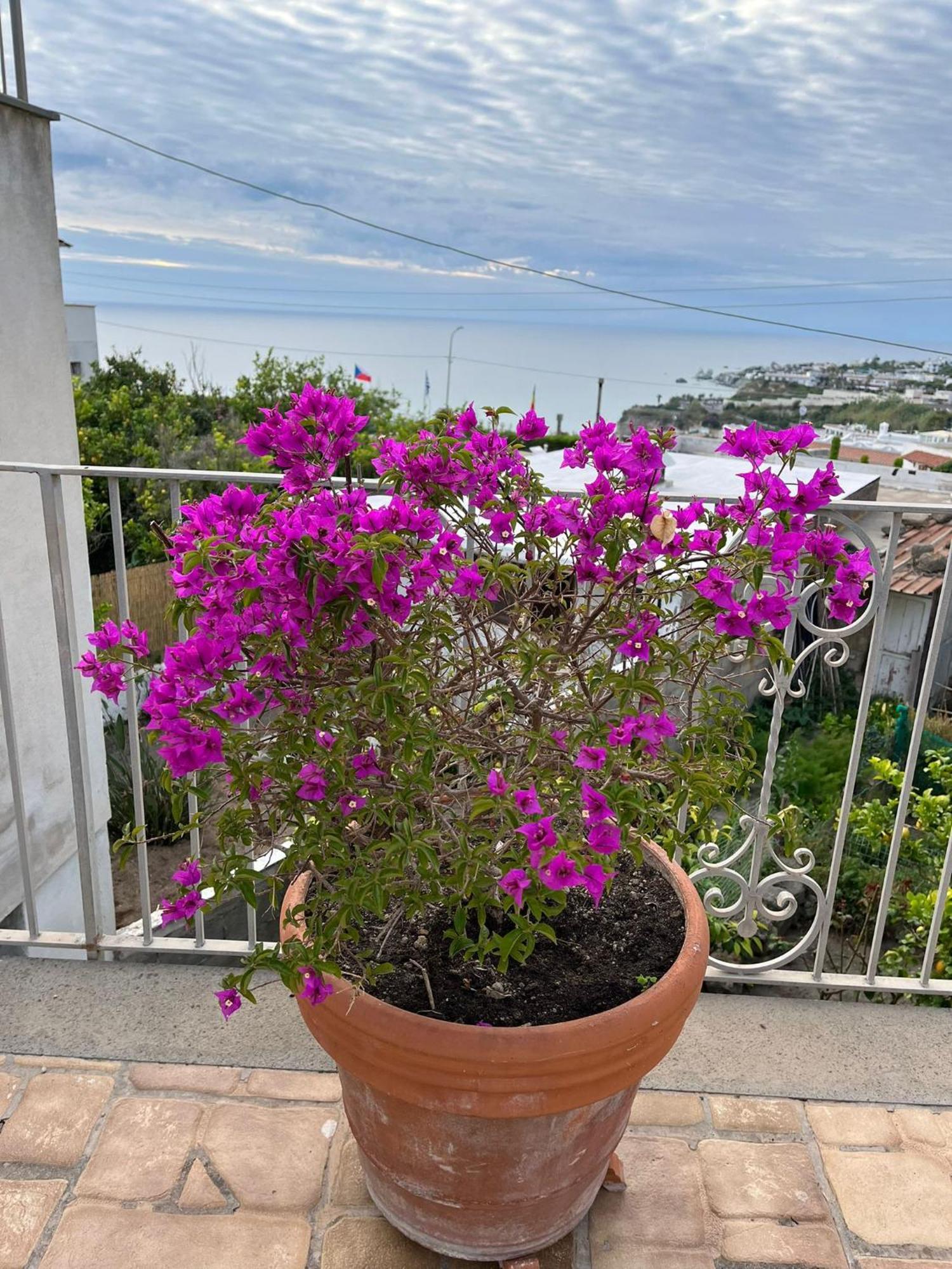 Chez Marie Ischia Villa Luaran gambar